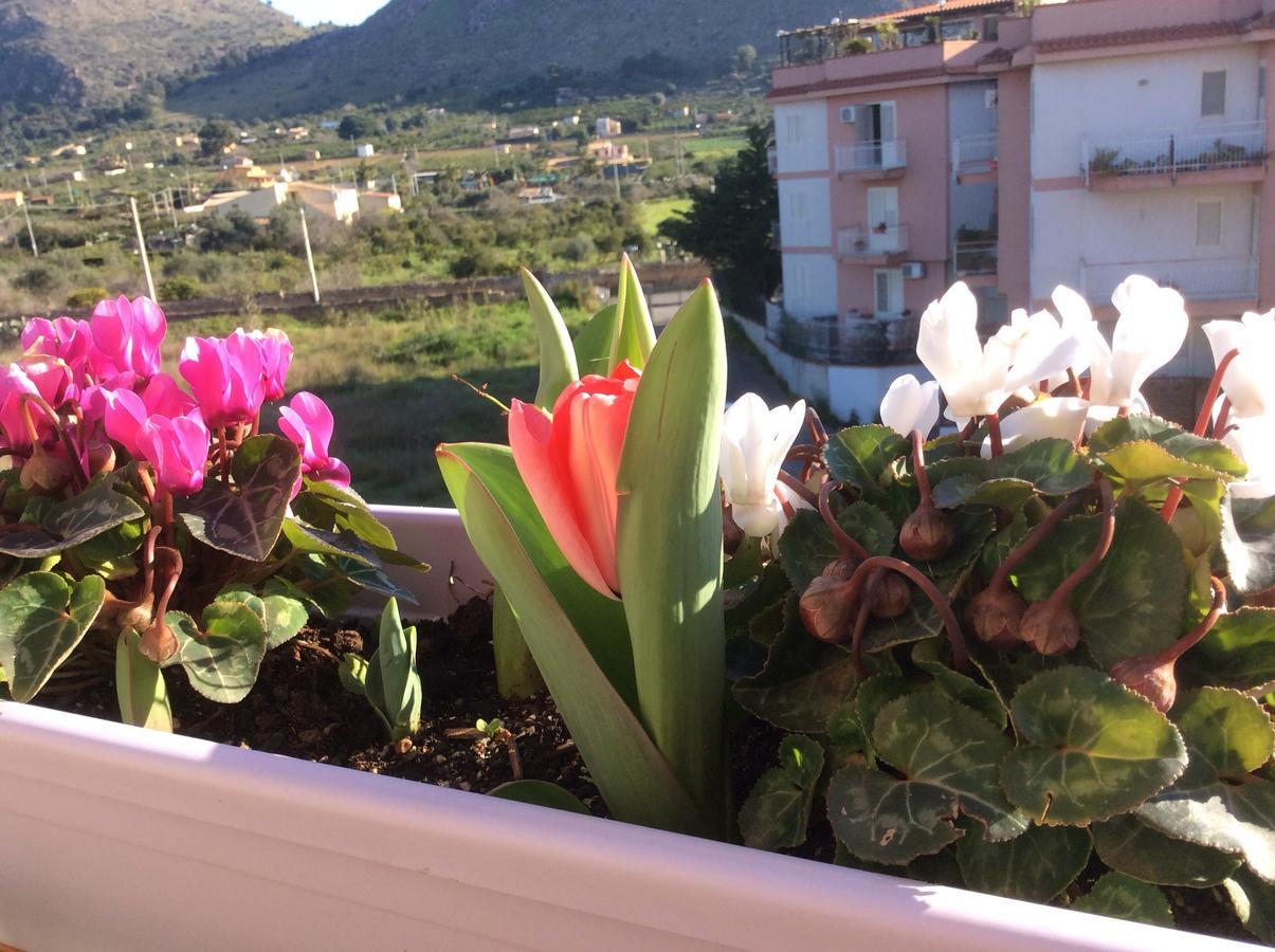 Ifioridisicilia Bed & Breakfast Campofelice Di Roccella Eksteriør bilde